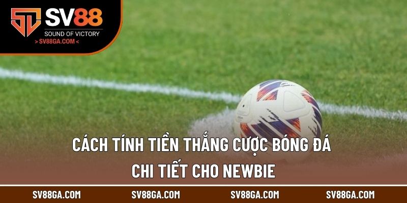 Cách Tính Tiền Thắng Cược Bóng Đá Chi Tiết Cho Newbie