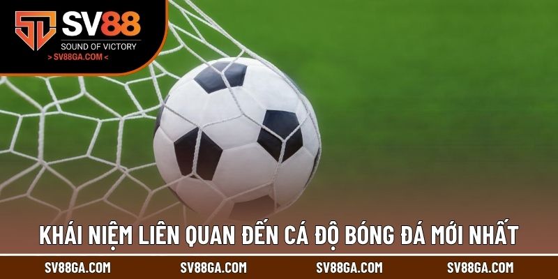 Khái niệm liên quan đến cá độ bóng đá mới nhất